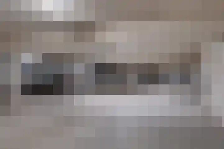 Het Bastion 15 Dieren thumbnail 26