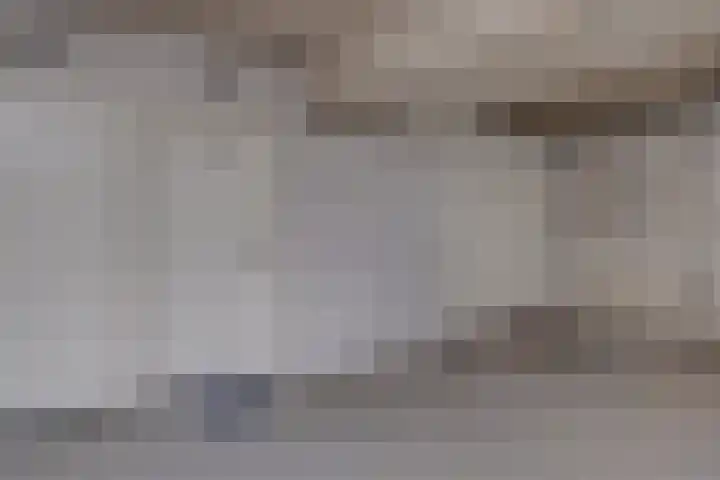 Het Bastion 15 Dieren thumbnail 27