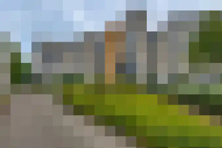 Het Bastion 15 Dieren thumbnail 28