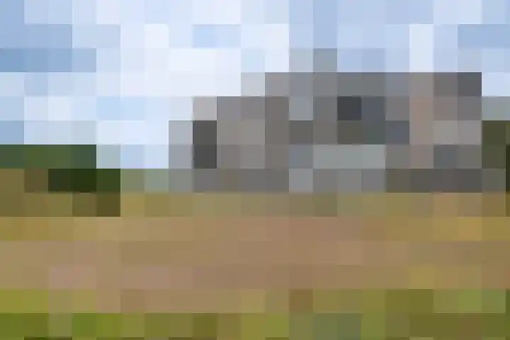 Het Bastion 15 Dieren thumbnail 29
