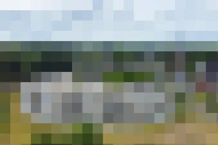 Het Bastion 15 Dieren thumbnail 32