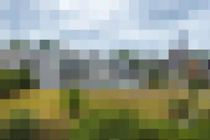 Het Bastion 15 Dieren thumbnail 35