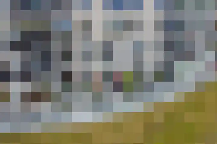 Het Bastion 15 Dieren thumbnail 37