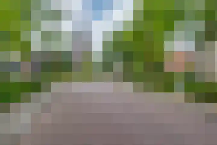 Het Bastion 15 Dieren thumbnail 38