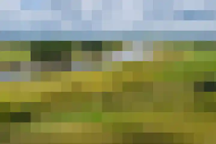 Het Bastion 15 Dieren thumbnail 39