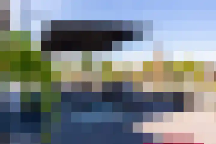 Het Bastion 35 Dieren thumbnail 16