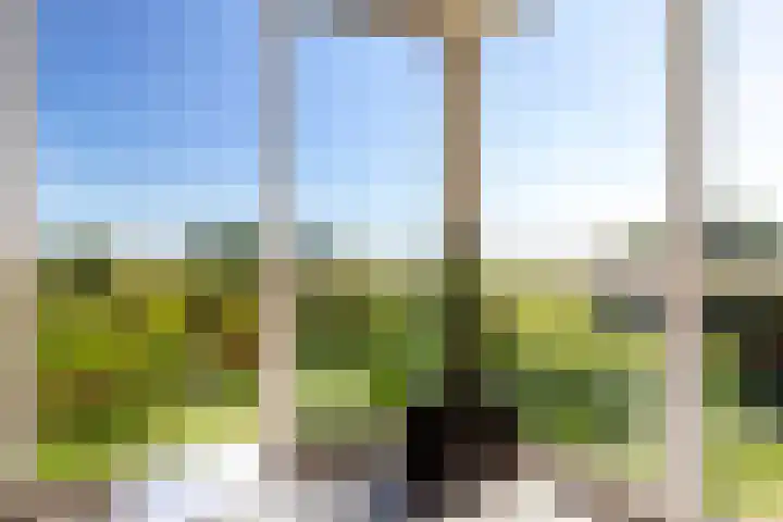 Het Bastion 35 Dieren thumbnail 34