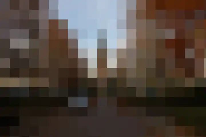 Het Bastion 48 Dieren thumbnail 16