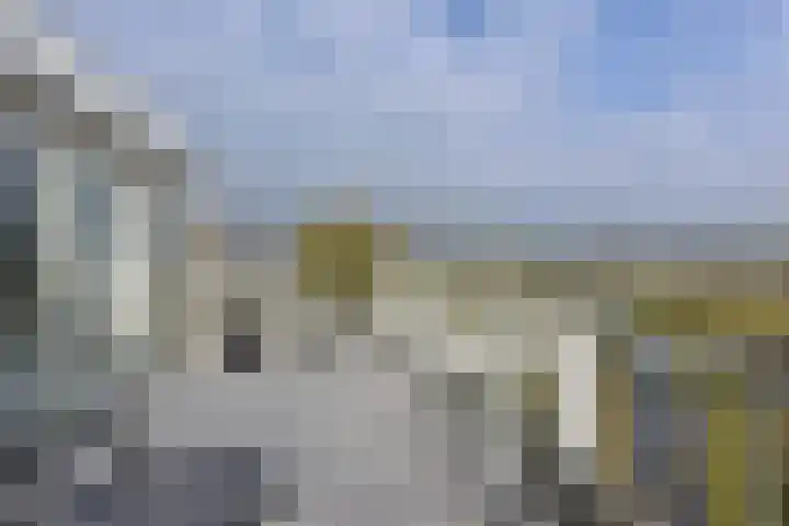 Het Bastion 57 Dieren thumbnail 22