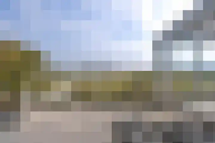 Het Bastion 57 Dieren thumbnail 23