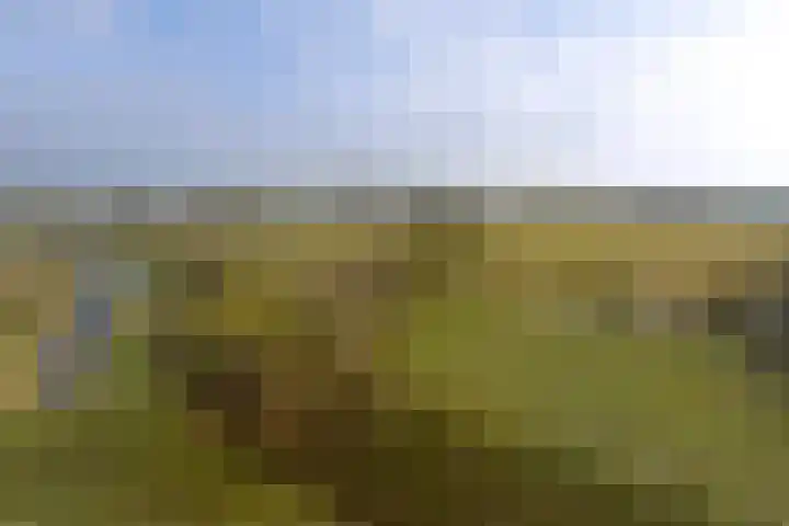 Het Bastion 57 Dieren thumbnail 24