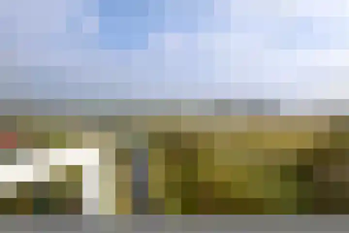 Het Bastion 57 Dieren thumbnail 25