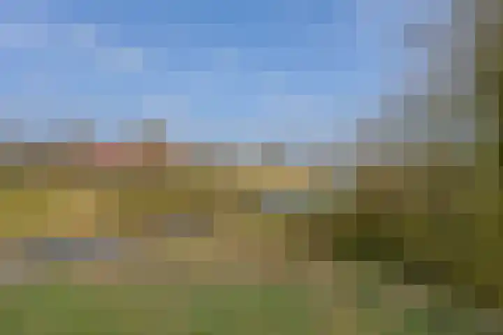 Het Bastion 57 Dieren thumbnail 41