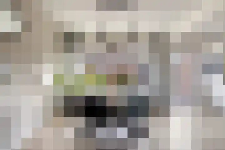 het Bentman 23 Losser thumbnail 13