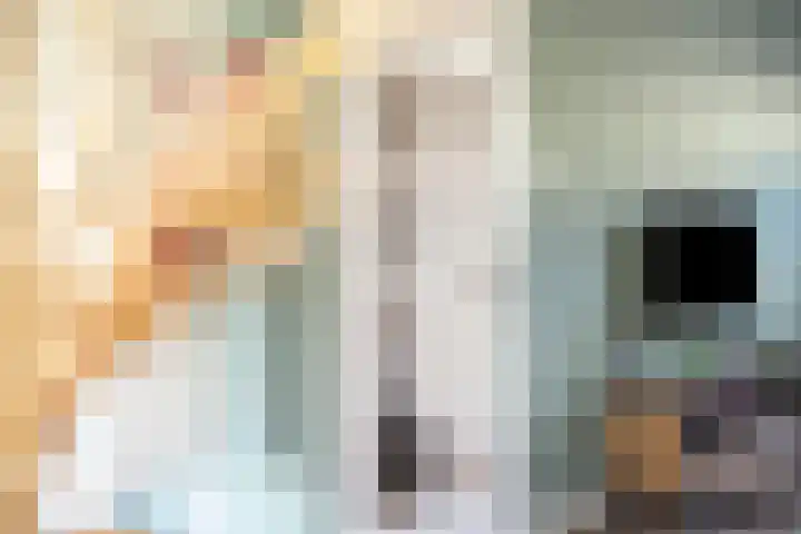 het Bentman 23 Losser thumbnail 14