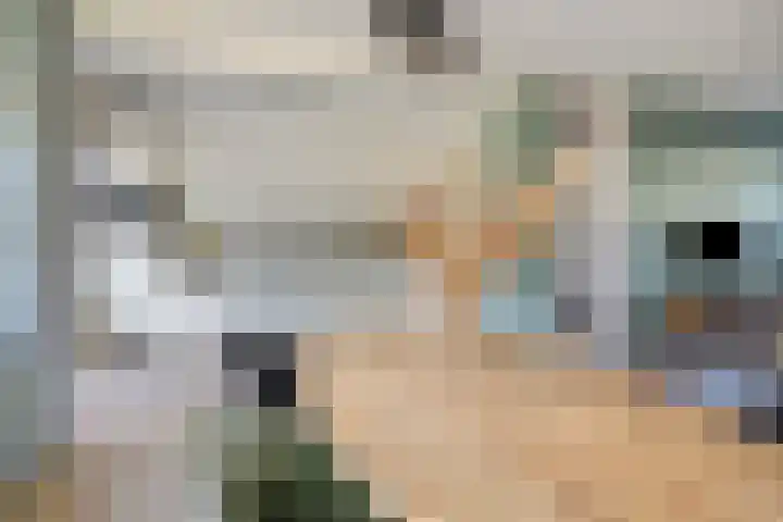 het Bentman 23 Losser thumbnail 15