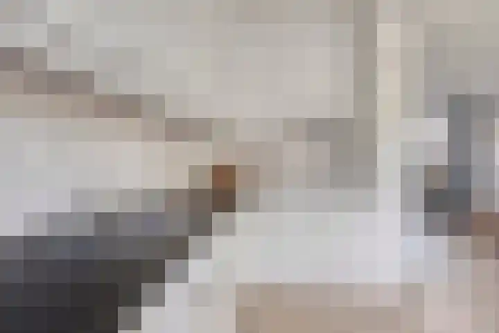 het Bentman 23 Losser thumbnail 17