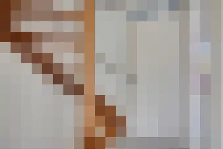 het Bentman 23 Losser thumbnail 20
