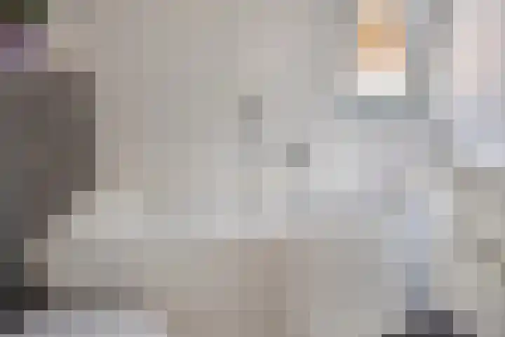 het Bentman 23 Losser thumbnail 24