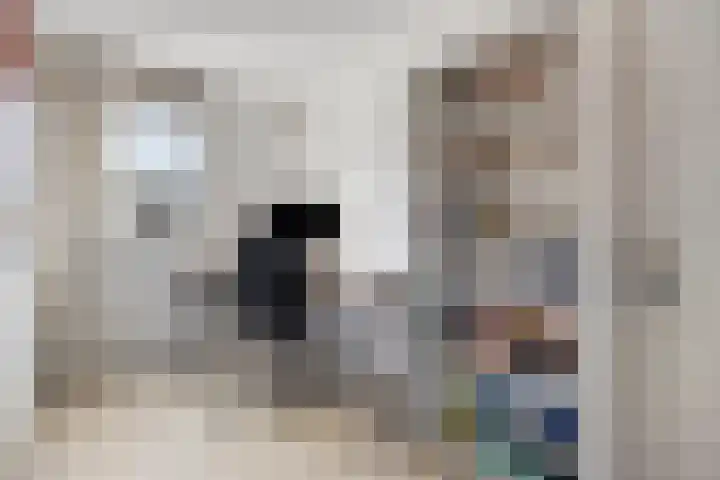 het Bentman 23 Losser thumbnail 28