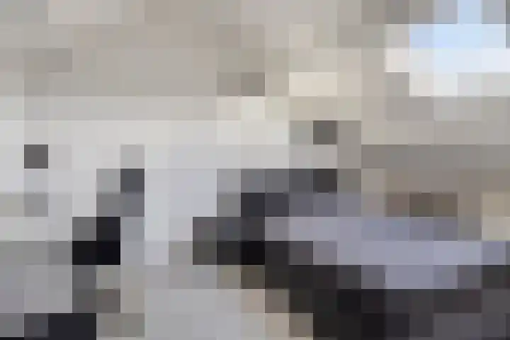 het Bentman 23 Losser thumbnail 31