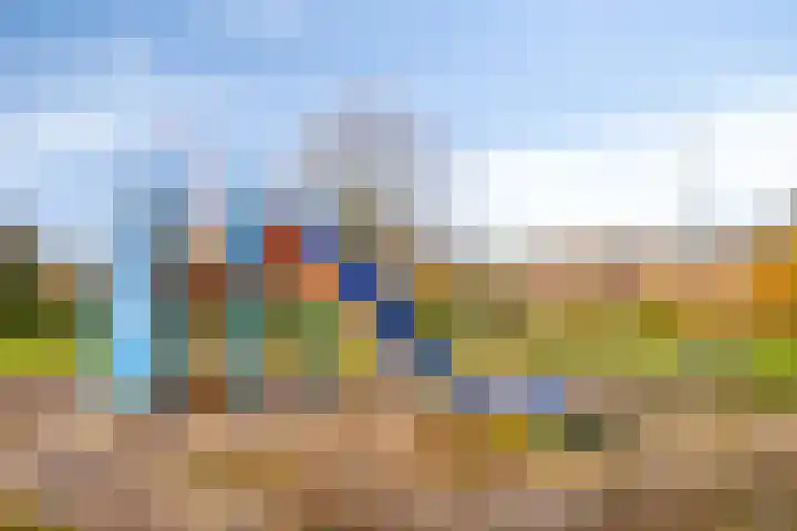 het Bentman 23 Losser thumbnail 37