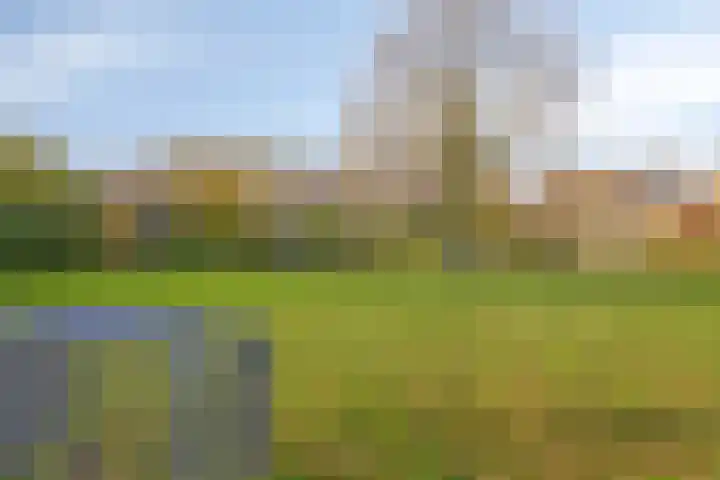 het Bentman 23 Losser thumbnail 38