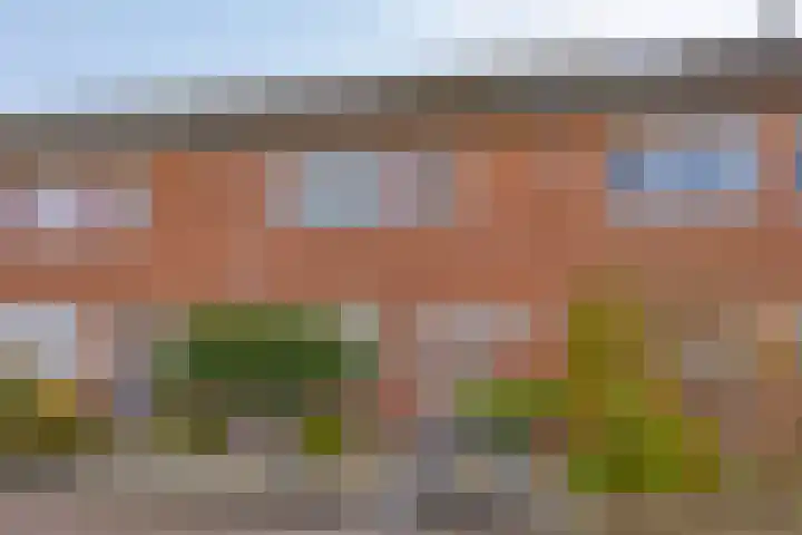 het Bentman 23 Losser thumbnail 5