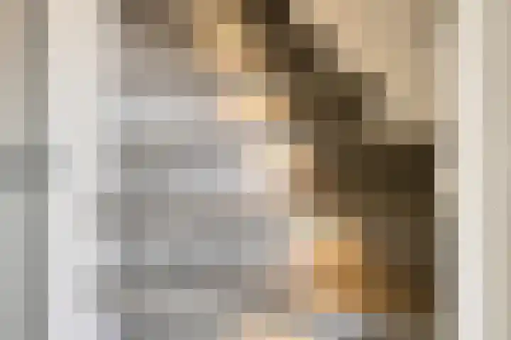 het Bentman 23 Losser thumbnail 7