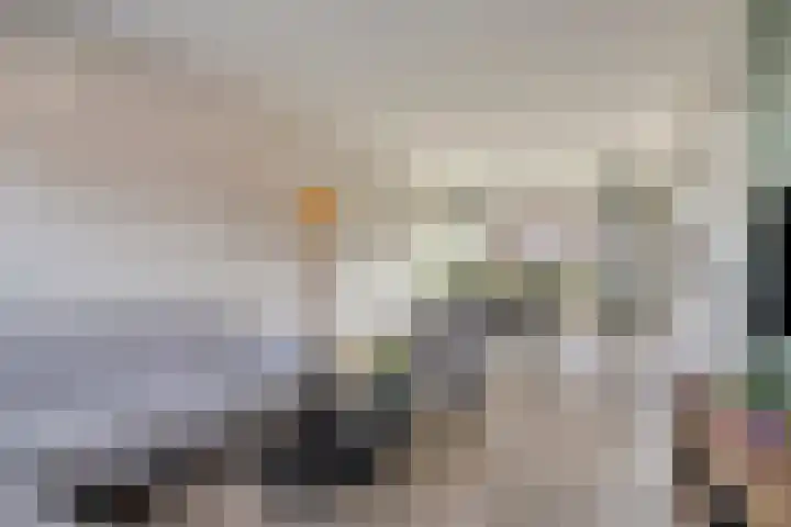 het Bentman 23 Losser thumbnail 9