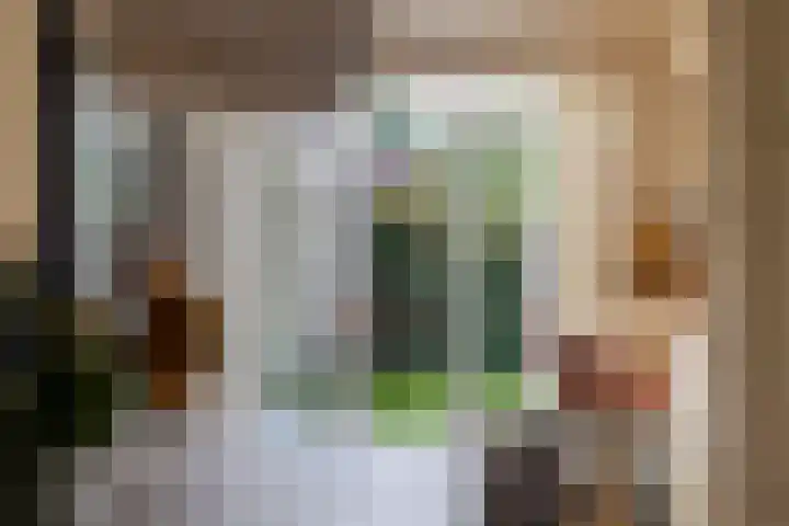 het Bentman 25 Losser thumbnail 12