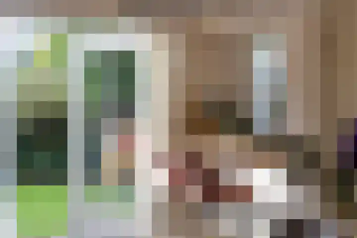 het Bentman 25 Losser thumbnail 13