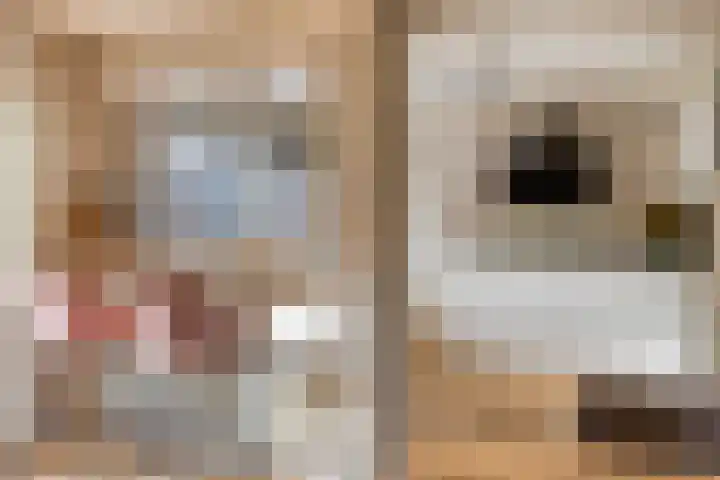 het Bentman 25 Losser thumbnail 14