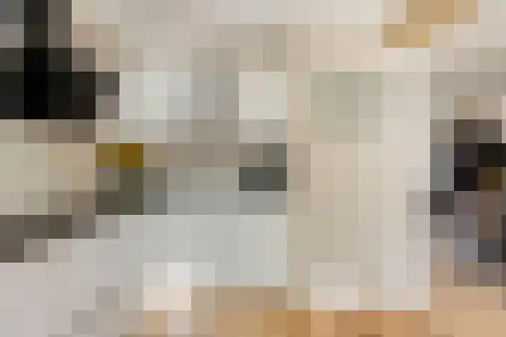 het Bentman 25 Losser thumbnail 16