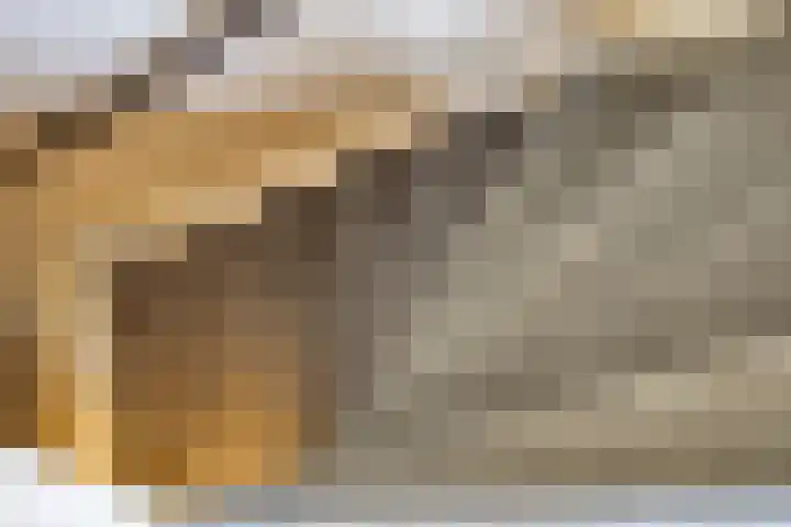 het Bentman 25 Losser thumbnail 19
