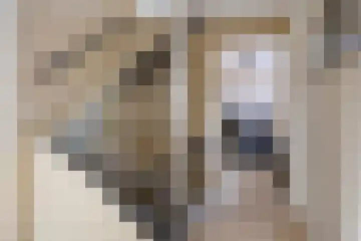 het Bentman 25 Losser thumbnail 20
