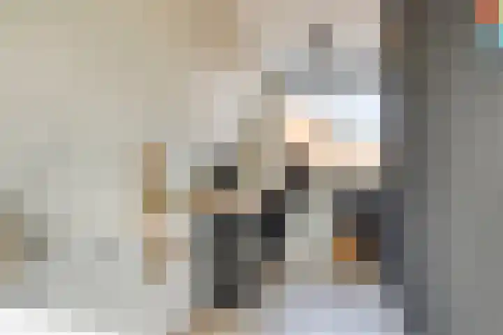 het Bentman 25 Losser thumbnail 30