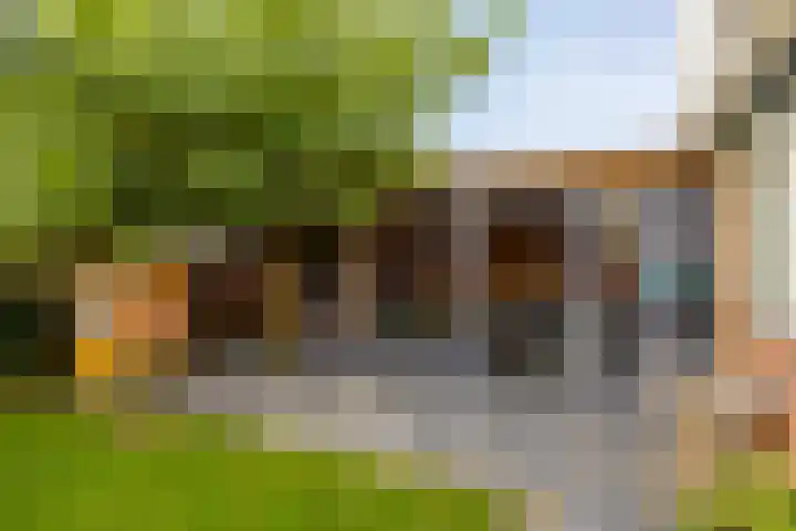 het Bentman 25 Losser thumbnail 36
