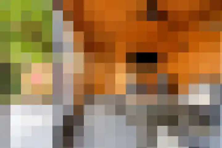 het Bentman 25 Losser thumbnail 37