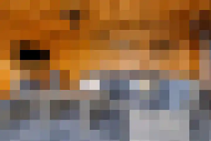 het Bentman 25 Losser thumbnail 38