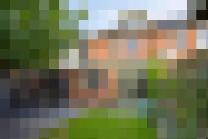 het Bentman 25 Losser thumbnail 40
