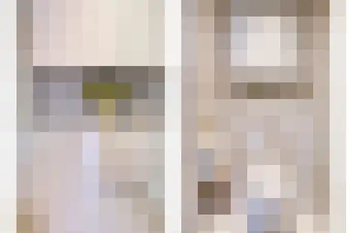 het Bentman 25 Losser thumbnail 5