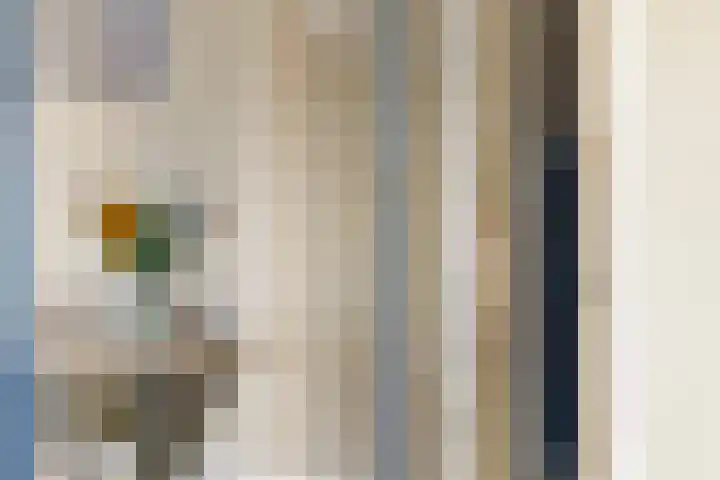 het Bentman 25 Losser thumbnail 7