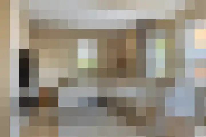 het Bentman 25 Losser thumbnail 9