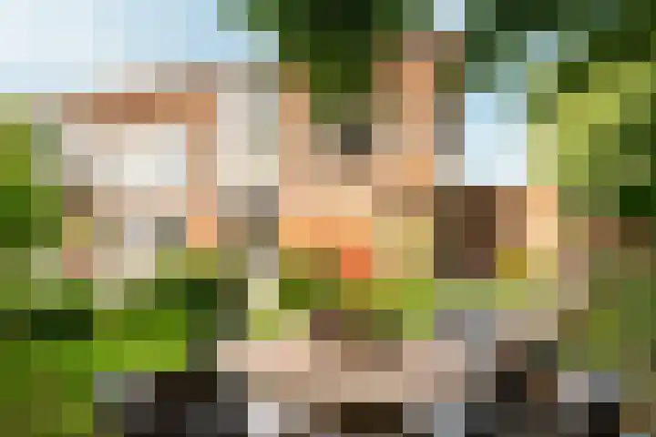 Het Bildt 150 Lelystad thumbnail 29
