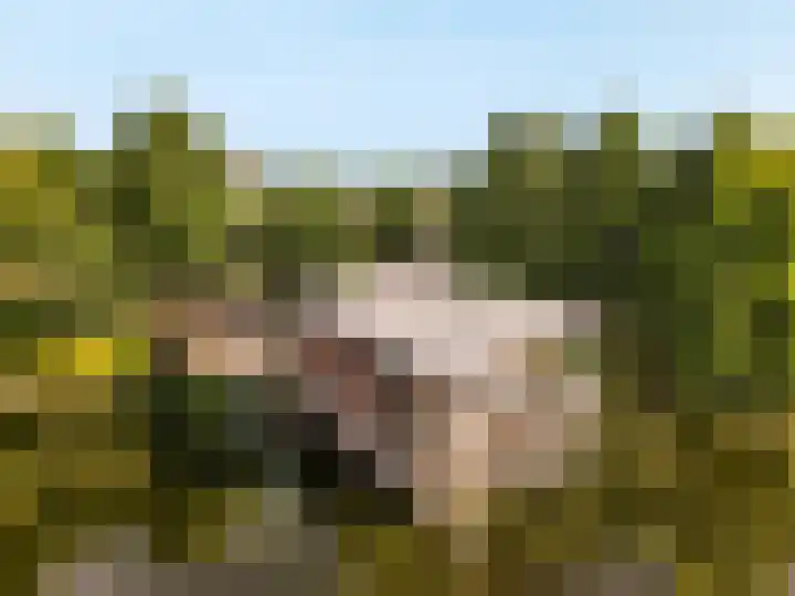 Het Bildt 150 Lelystad thumbnail 33