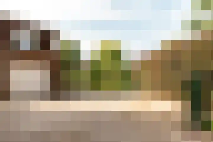 Het Bildt 150 Lelystad thumbnail 6
