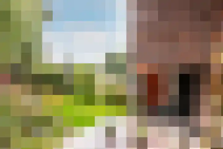 Het Bildt 150 Lelystad thumbnail 7
