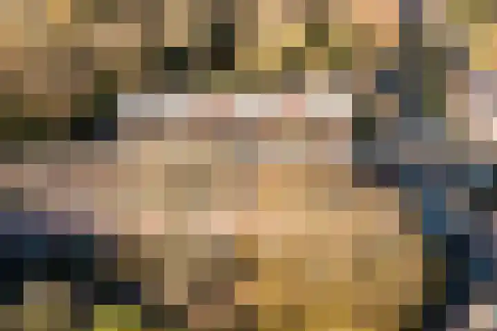 Het Bildt 157 Lelystad thumbnail 25