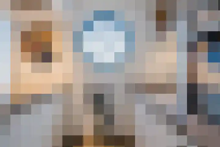 Het Bildt 157 Lelystad thumbnail 27